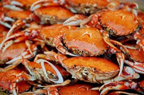 螃蟹和小瓜怎么吃,探索创意烹饪新境界