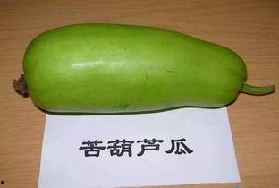 葫芦瓜可以烤了吃么,烤制美味,解锁健康饮食新选择