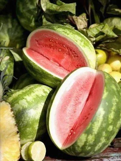 河南林州全城吃瓜,一场别开生面的夏日盛宴