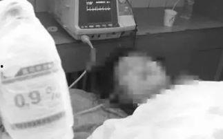 滨州吃瓜少女事件,网络舆论漩涡中的真相探寻