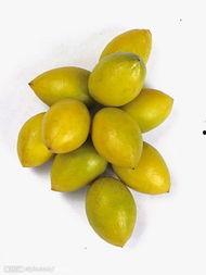 刺李吃瓜,揭秘娱乐圈背后的真相与笑料