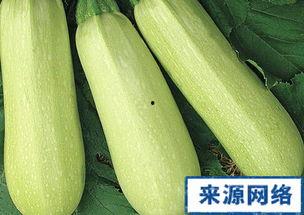 孕妇能否吃角瓜,角瓜的食用与禁忌